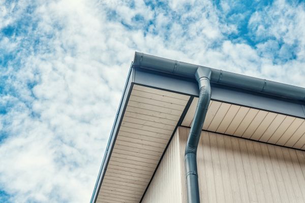 Gutter Fascia Repair in Sanford