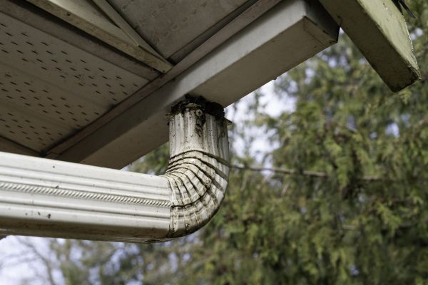 Cost of Roof Drain Replacement in Sanford